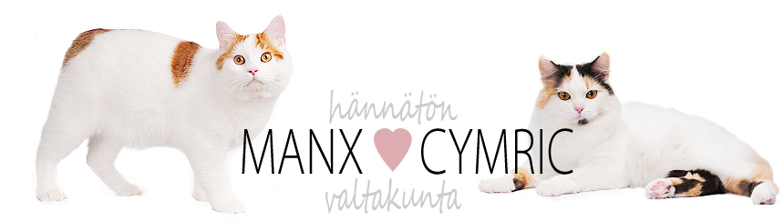 Sherwood Manx Club :: Manx & Cymric ::